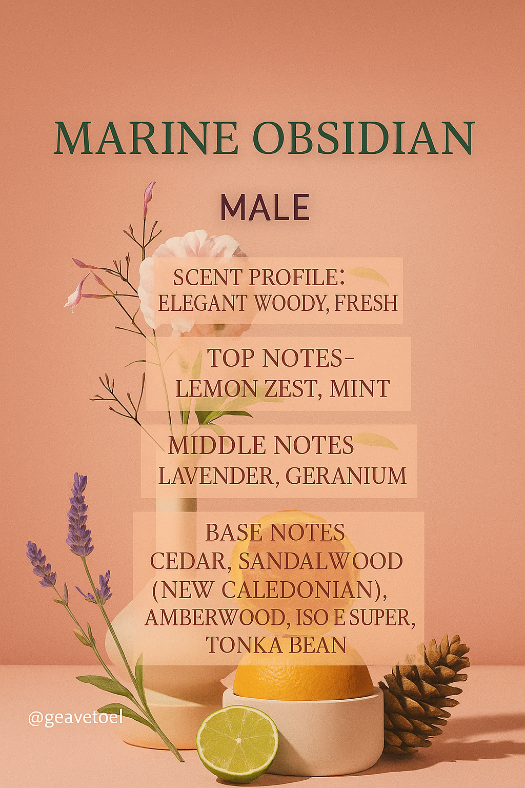 Marine Obsidian & Terra Oud 06 |  Perfect Combo for Family | 100ML x 2